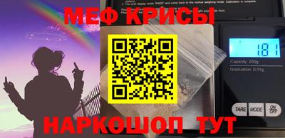 крисы Моздок