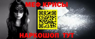 крисы Моздок