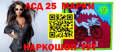 крисы Моздок