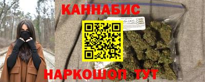 крисы Моздок