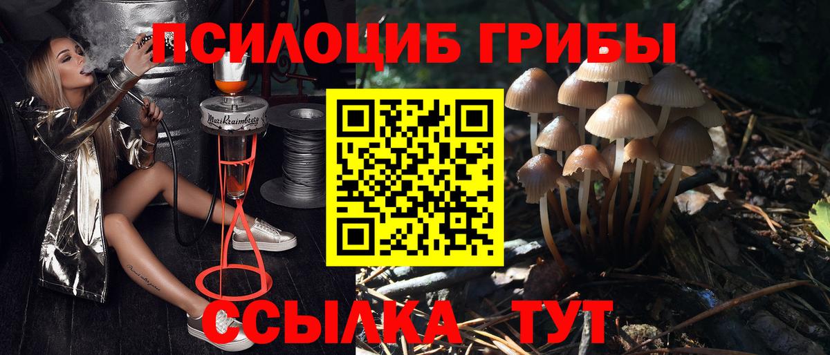 Орёл  Галлюциногенные грибы GOLDEN TEACHER  Вход с VPN  купить наркотики цена  Галлюциногенные грибы MAGIC MUSHROOMS 